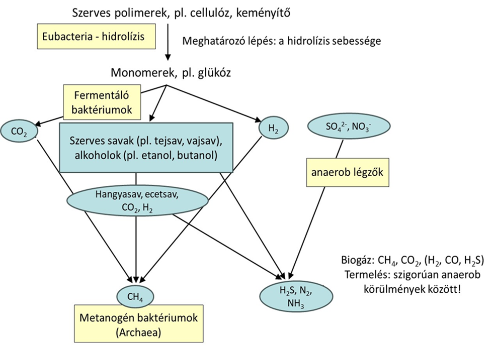 Szerves anyagok lebontása anaerob körülmények között