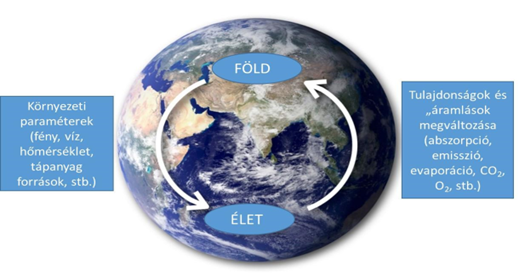 A Föld környezete és az élet kölcsönhatásban van egymással