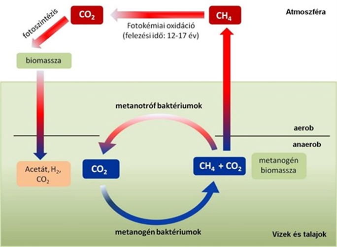 A metánciklus.