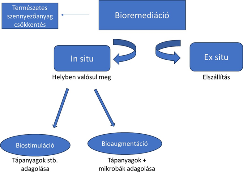 Bioremediációs lehetőségek mikroorganizmusok felhasználásával.