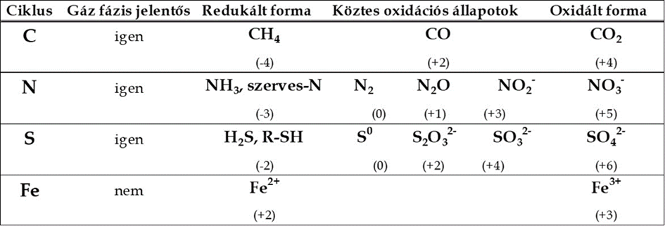 A legjelentősebb biogeokémiai ciklusok.