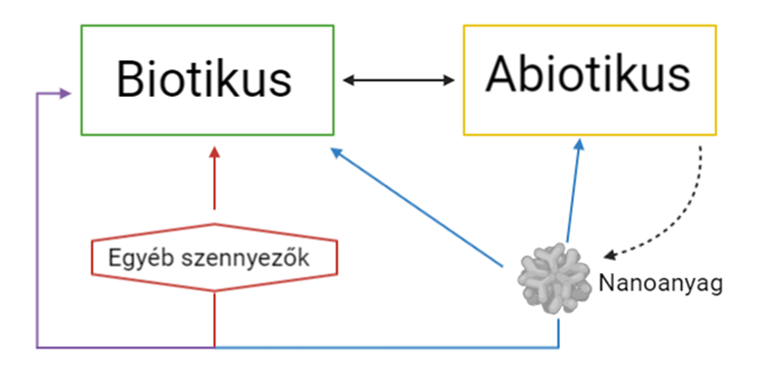 A nanoanyagok és a környezet kölcsönhatásai