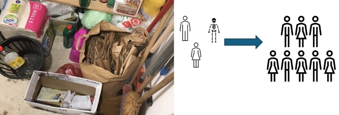 Környezetvédelem alapelvei