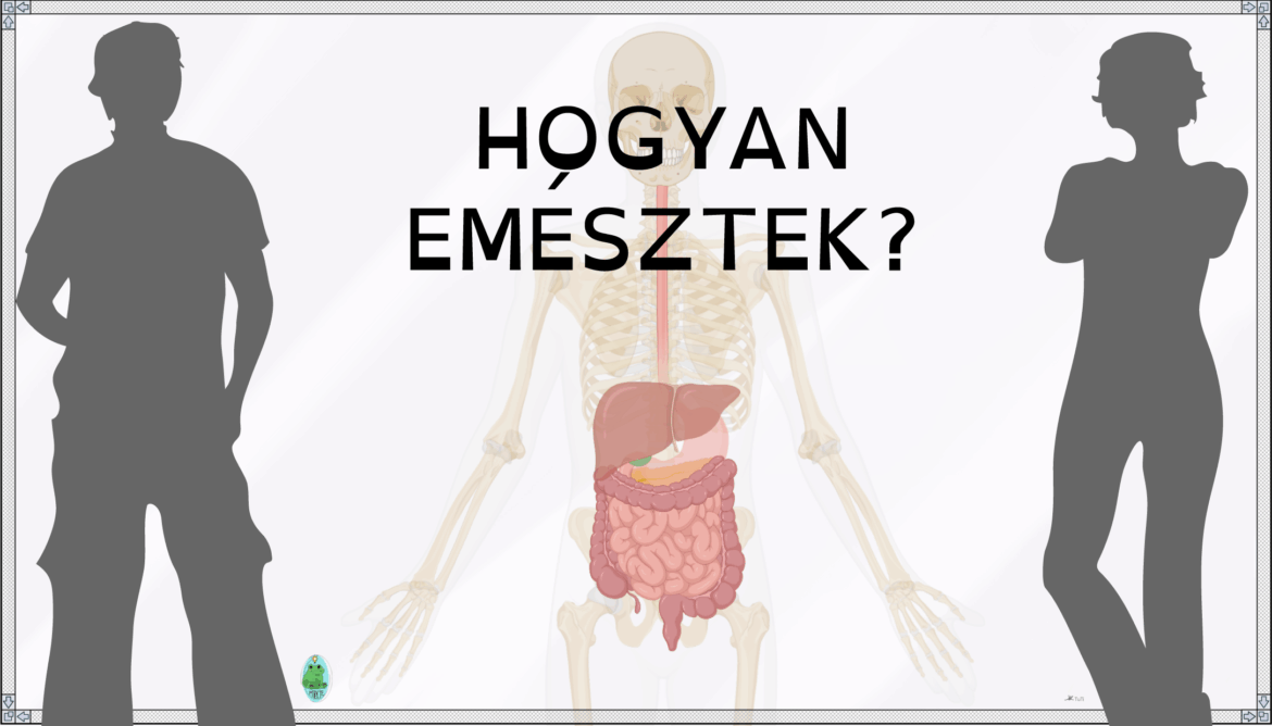 Bélyegkép_HOGYAN EMÉSZTEK@2x