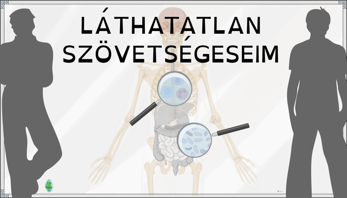Bélyegkép_LÁTHATATLAN SZÖVETSÉGESEIM@2x