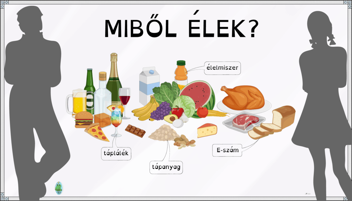 Bélyegkép_MIBŐL ÉLEK@2x