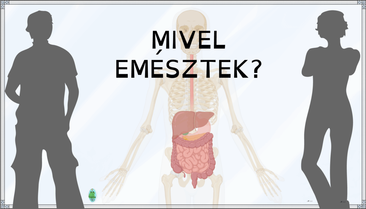 Bélyegkép_MIVEL EMÉSZTEK@2x
