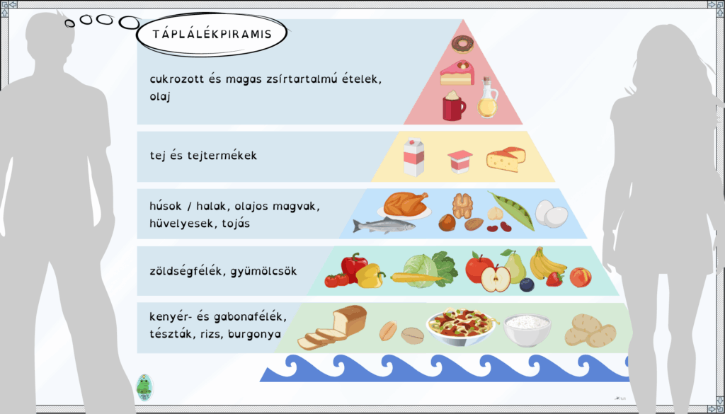 Az ábra a táplálékpiramist mutatja be, aminek szintjei eltérő színűek és eltérő ételeket tartalmaznak. A piramis alatt kék hullámok sorozata, ami a nulladik szintet adó vízre utal.
