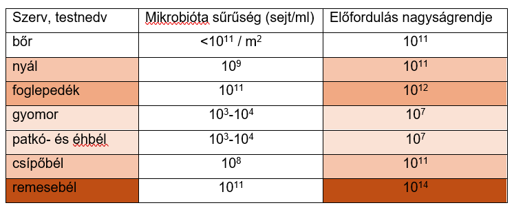 A bőr és a bélcső mikrobiomjainak nagysága